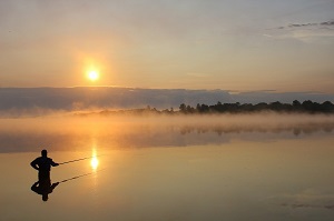 Fly Fisherman at Dawn